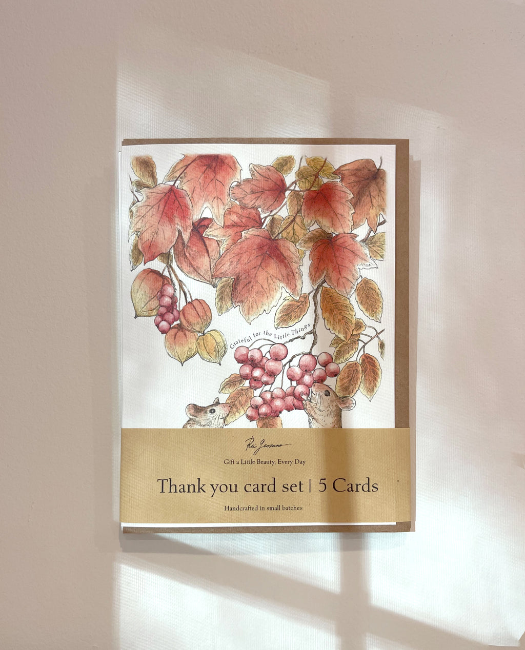 Little Harvest Thank You Card Bundle – Set of 5