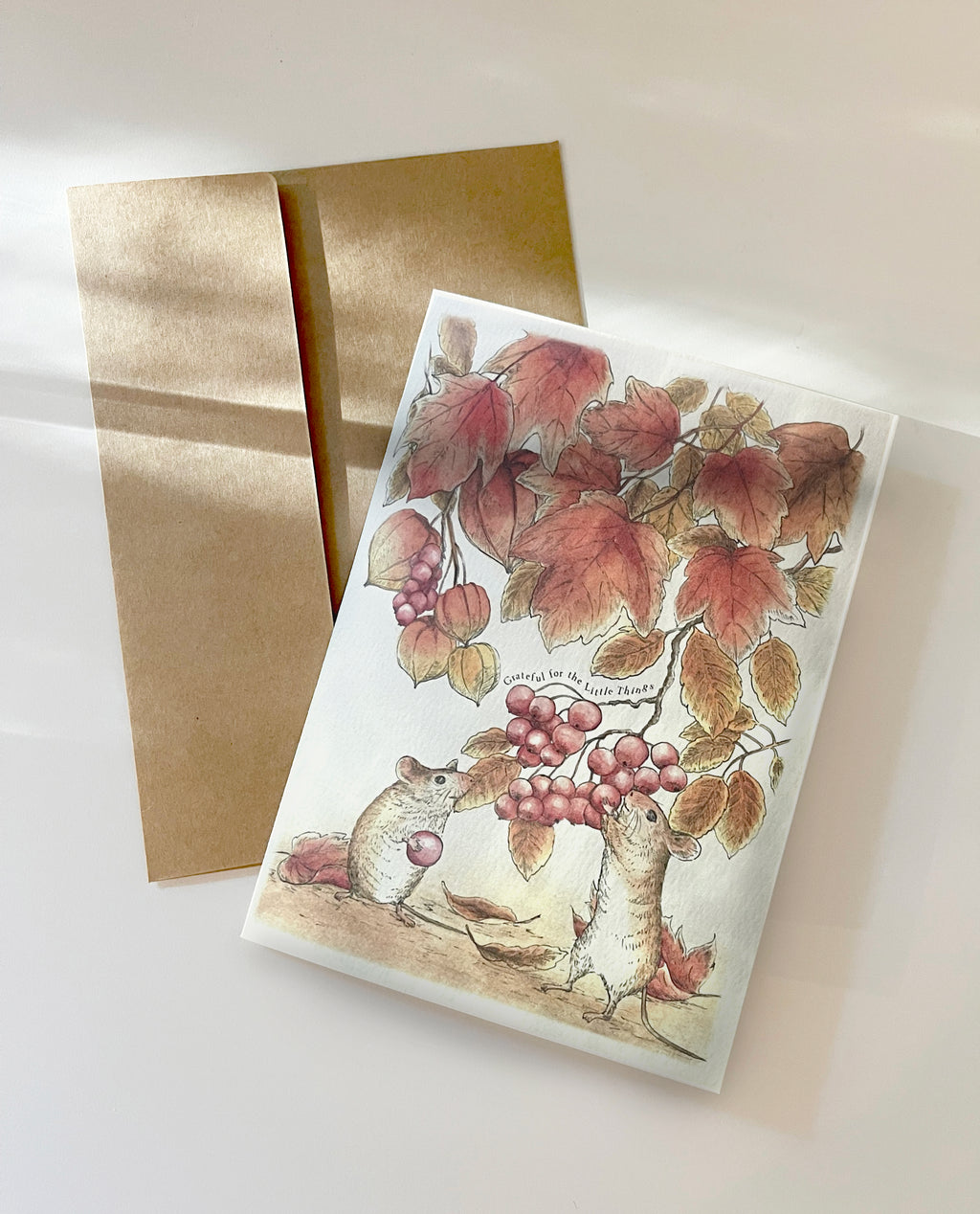 Little Harvest Thank You Card Bundle – Set of 5